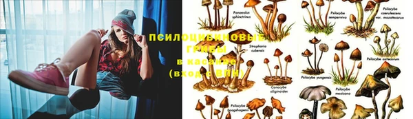 кокаин премиум Коряжма