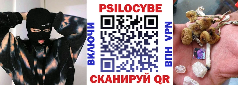 Галлюциногенные грибы Psilocybe Ядрин